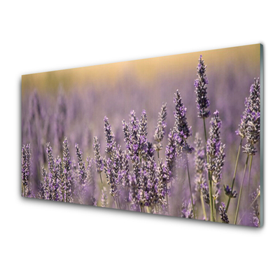 Quadro in vetro Fiori Pianta naturale