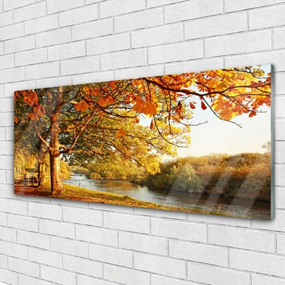 Quadro vetro Albero Lago Natura