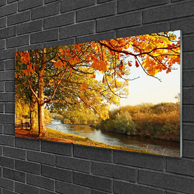 Quadro vetro Albero Lago Natura