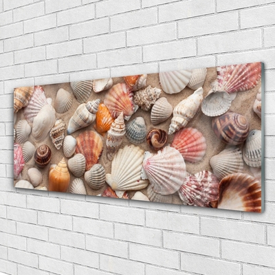Quadro vetro Arte della sabbia con i molluschi