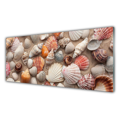 Quadro vetro Arte della sabbia con i molluschi