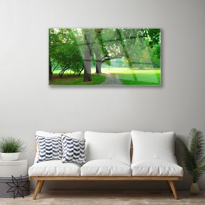 Quadro di vetro Sentiero degli alberi della natura