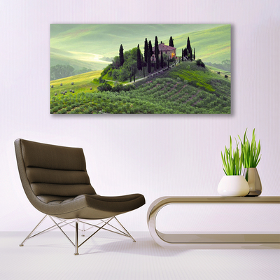 Quadro di vetro Prato Alberi Natura