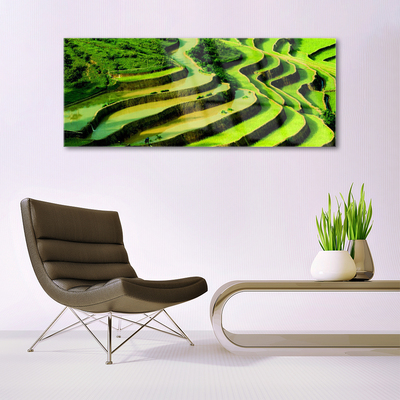 Quadro vetro Campo Riso Foresta Natura