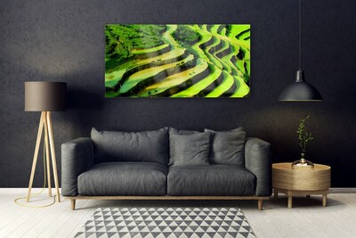 Quadro vetro Campo Riso Foresta Natura