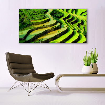 Quadro vetro Campo Riso Foresta Natura