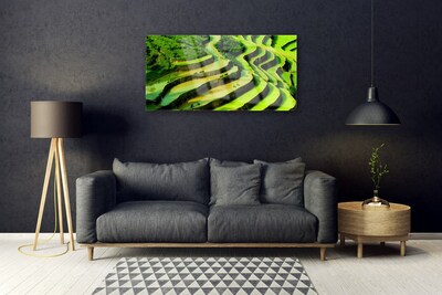 Quadro vetro Campo Riso Foresta Natura