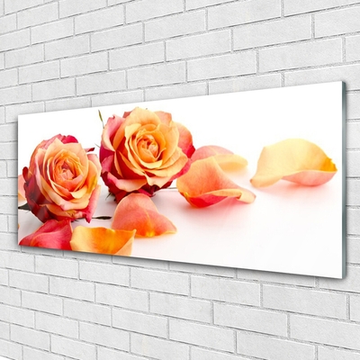 Quadro vetro Rose Fiori Pianta