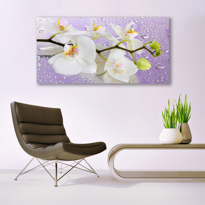 Quadro in vetro Fiori Pianta naturale