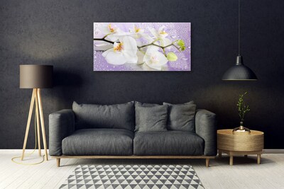 Quadro in vetro Fiori Pianta naturale