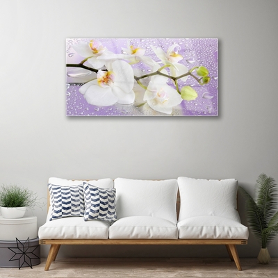 Quadro in vetro Fiori Pianta naturale