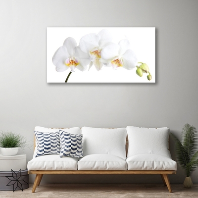 Quadro vetro Fiori Pianta naturale