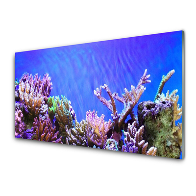 Quadro in vetro Natura della barriera corallina