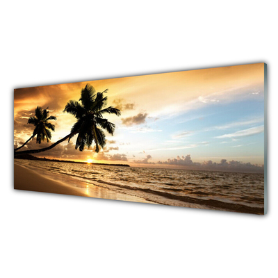 Quadro su vetro Palme Spiaggia Paesaggio