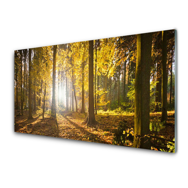 Quadro in vetro Foresta Foglie Pianta Natura