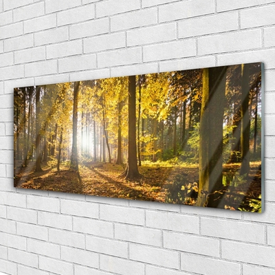 Quadro in vetro Foresta Foglie Pianta Natura