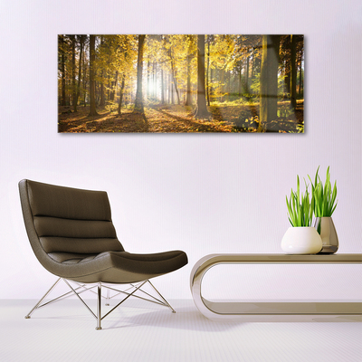 Quadro in vetro Foresta Foglie Pianta Natura