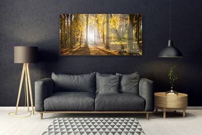 Quadro in vetro Foresta Foglie Pianta Natura