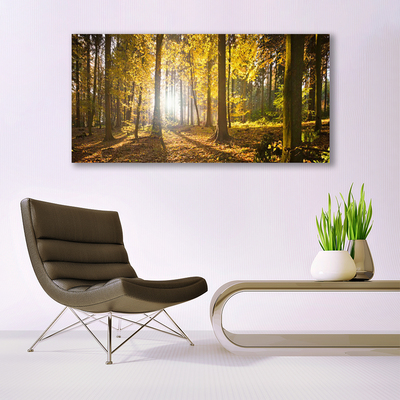 Quadro in vetro Foresta Foglie Pianta Natura