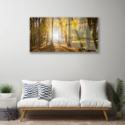 Quadro in vetro Foresta Foglie Pianta Natura