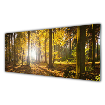 Quadro in vetro Foresta Foglie Pianta Natura