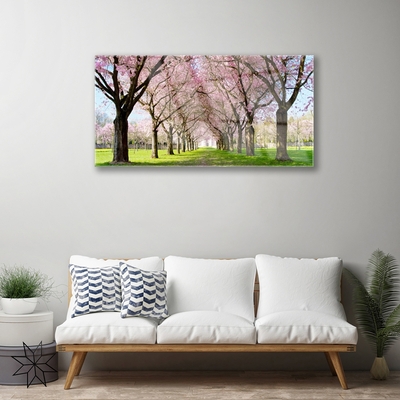 Quadro in vetro Sentiero degli alberi della natura