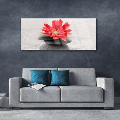 Quadro in vetro Fiore di gerbera