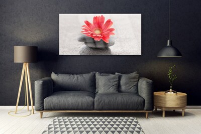 Quadro in vetro Fiore di gerbera