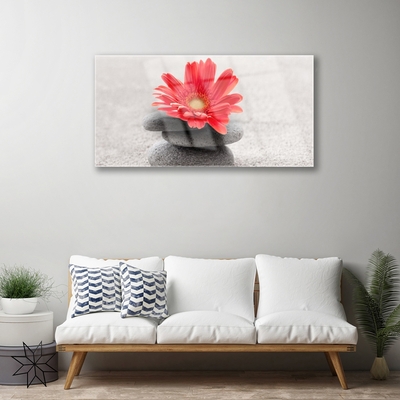 Quadro in vetro Fiore di gerbera