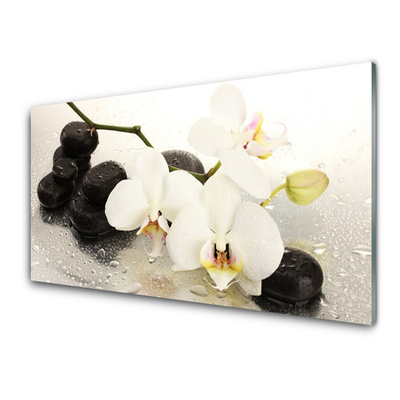 Quadro in vetro Bellissimo fiore di orchidea