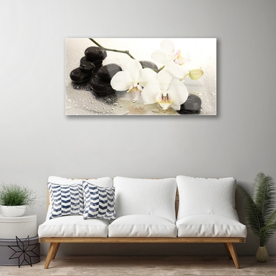 Quadro in vetro Bellissimo fiore di orchidea