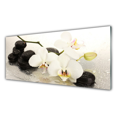 Quadro in vetro Bellissimo fiore di orchidea