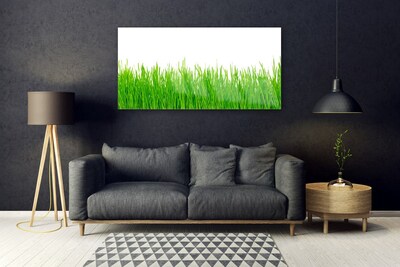 Quadro vetro Erba Pianta Natura