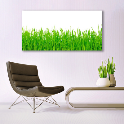 Quadro vetro Erba Pianta Natura