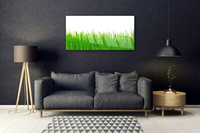 Quadro vetro Erba Pianta Natura