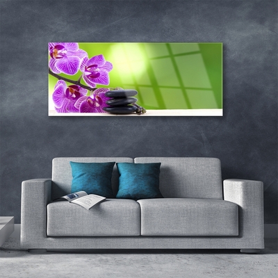 Quadro vetro Orchidee Fiori Verdi