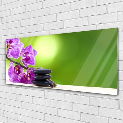 Quadro vetro Orchidee Fiori Verdi