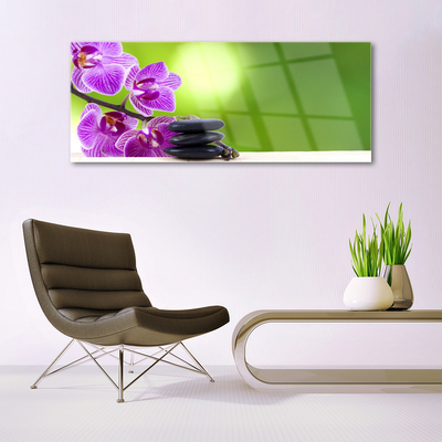 Quadro vetro Orchidee Fiori Verdi