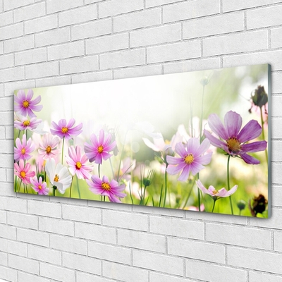 Quadro su vetro Fiori Pianta Natura