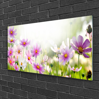 Quadro su vetro Fiori Pianta Natura