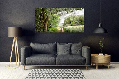 Quadro su vetro Sentiero Natura Alberi