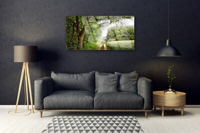 Quadro su vetro Sentiero Natura Alberi