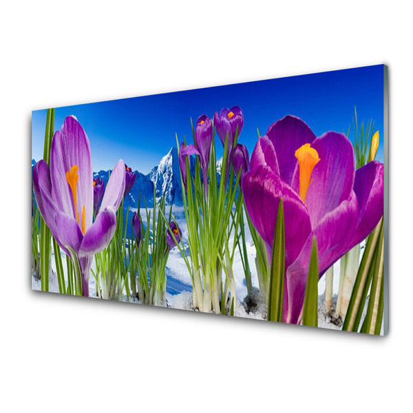 Quadro su vetro Fiori Pianta naturale