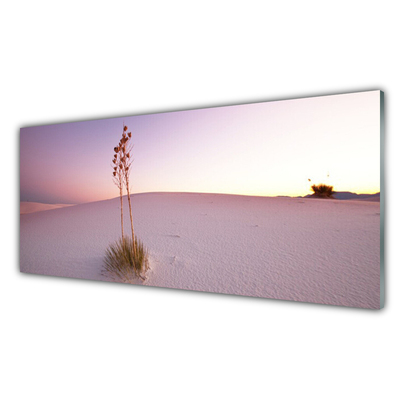 Quadro vetro Paesaggio di sabbia del deserto