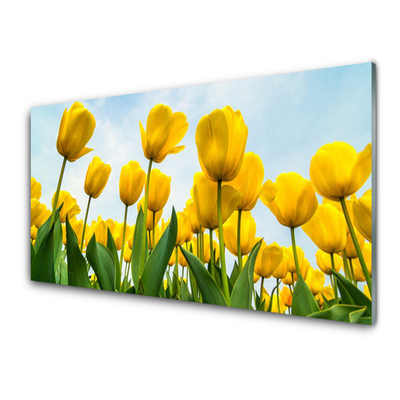 Quadro vetro Tulipani Fiori Pianta