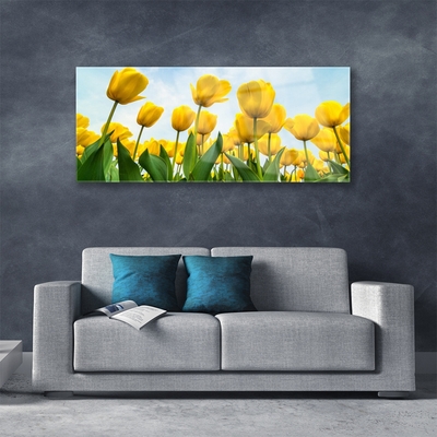 Quadro vetro Tulipani Fiori Pianta