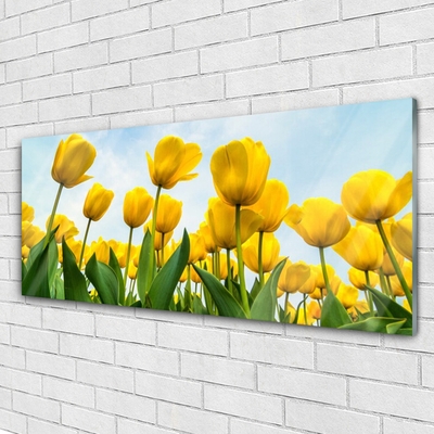 Quadro vetro Tulipani Fiori Pianta