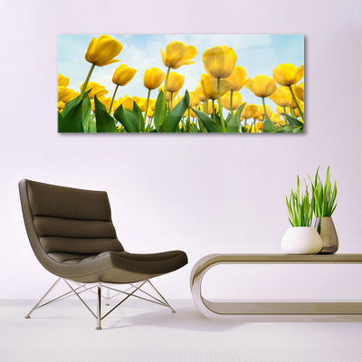 Quadro vetro Tulipani Fiori Pianta