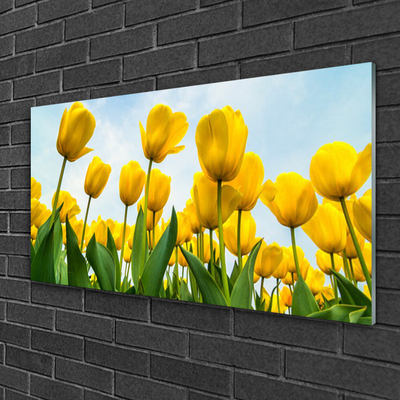 Quadro vetro Tulipani Fiori Pianta