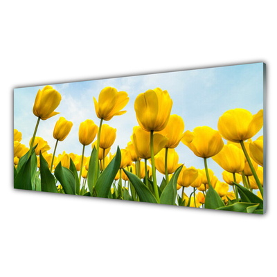 Quadro vetro Tulipani Fiori Pianta